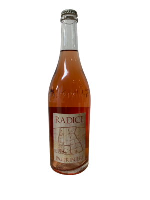 Paltrinieri Lambrusco Radice 2024