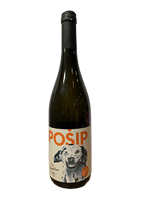 The Dalmatian Dog Posip 2023