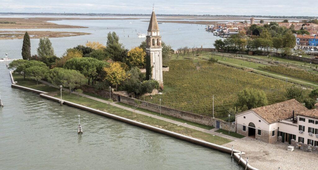 Venissa Vineyard