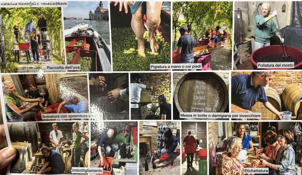 Winemaking at San Michele