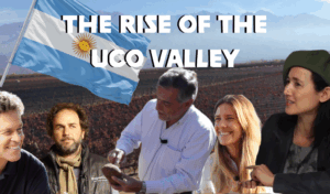 From Spanish Origins to High Altitude Excellence: The Evolution of Winemaking in Mendoza and the Rise of the Uco Valley
