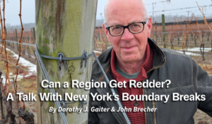 Can a Region Get Redder? A Talk With New York’s Boundary Breaks