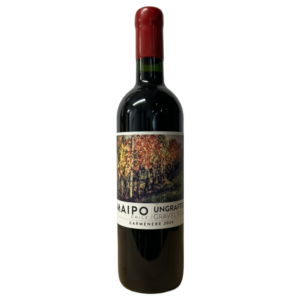 Ungrafted Maipo Valley Carmenere 2024