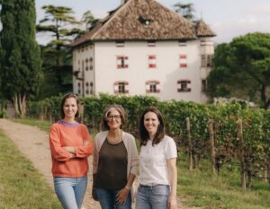 Schiava: The Alpine Red You Should Be Drinking