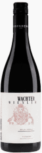 Wachter Wiesler Bela Joska Blaufrankisch 2021