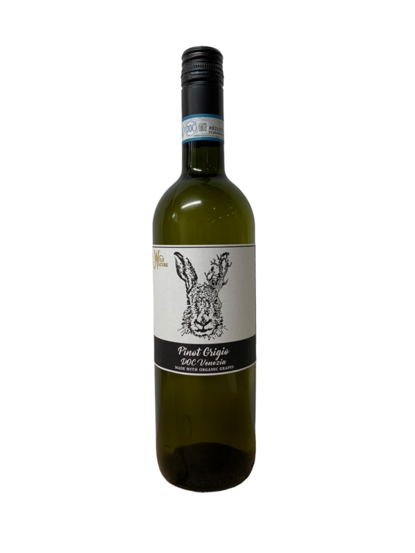 Wild Nature Wines Venezia Pinot Grigio 2023