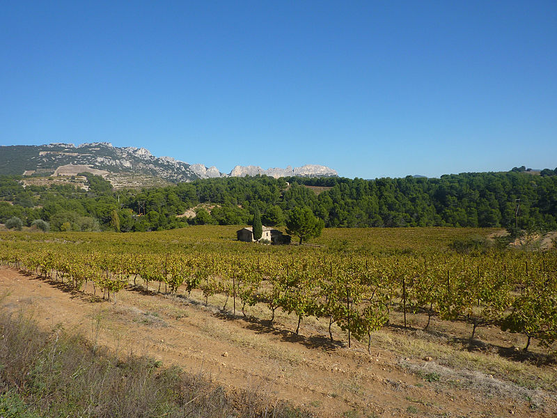 A Snapshot of Gigondas