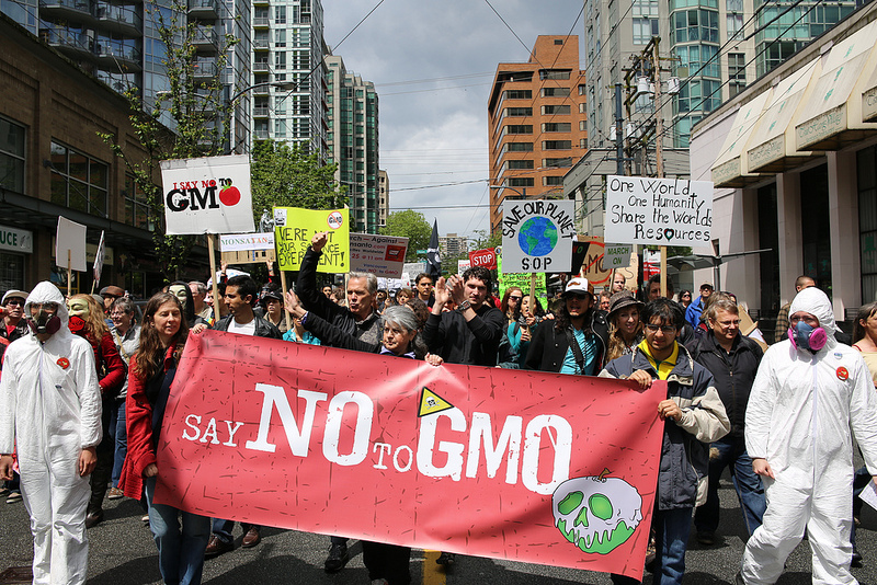 Do You Care if Your Wines Are Non-GMO Certified?