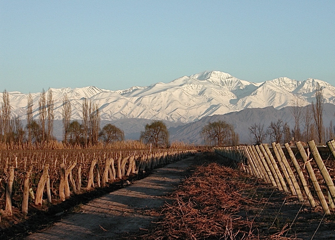 The Malbec Maverick: Paul Hobbs' Vision for Argentine Wine
