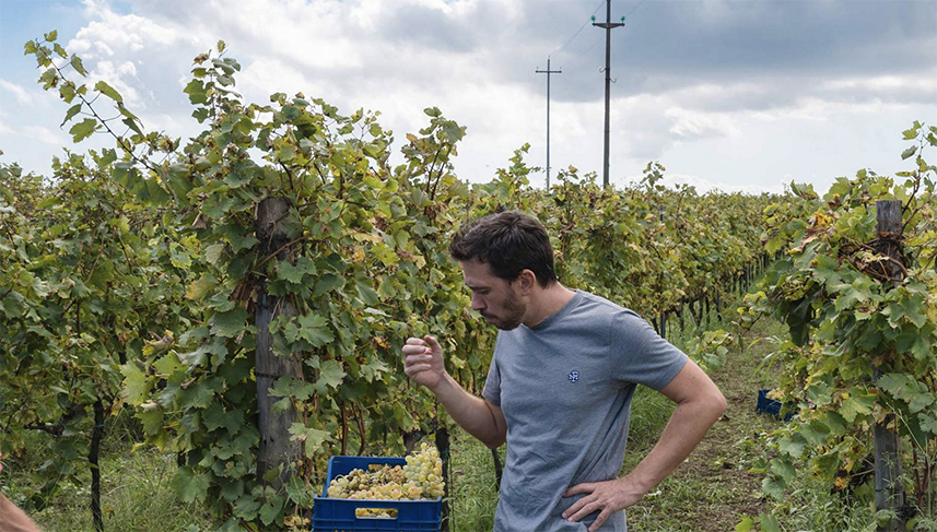 Marco Nicolosi of Barone di Villagrande: An Etna Bianco Pioneer