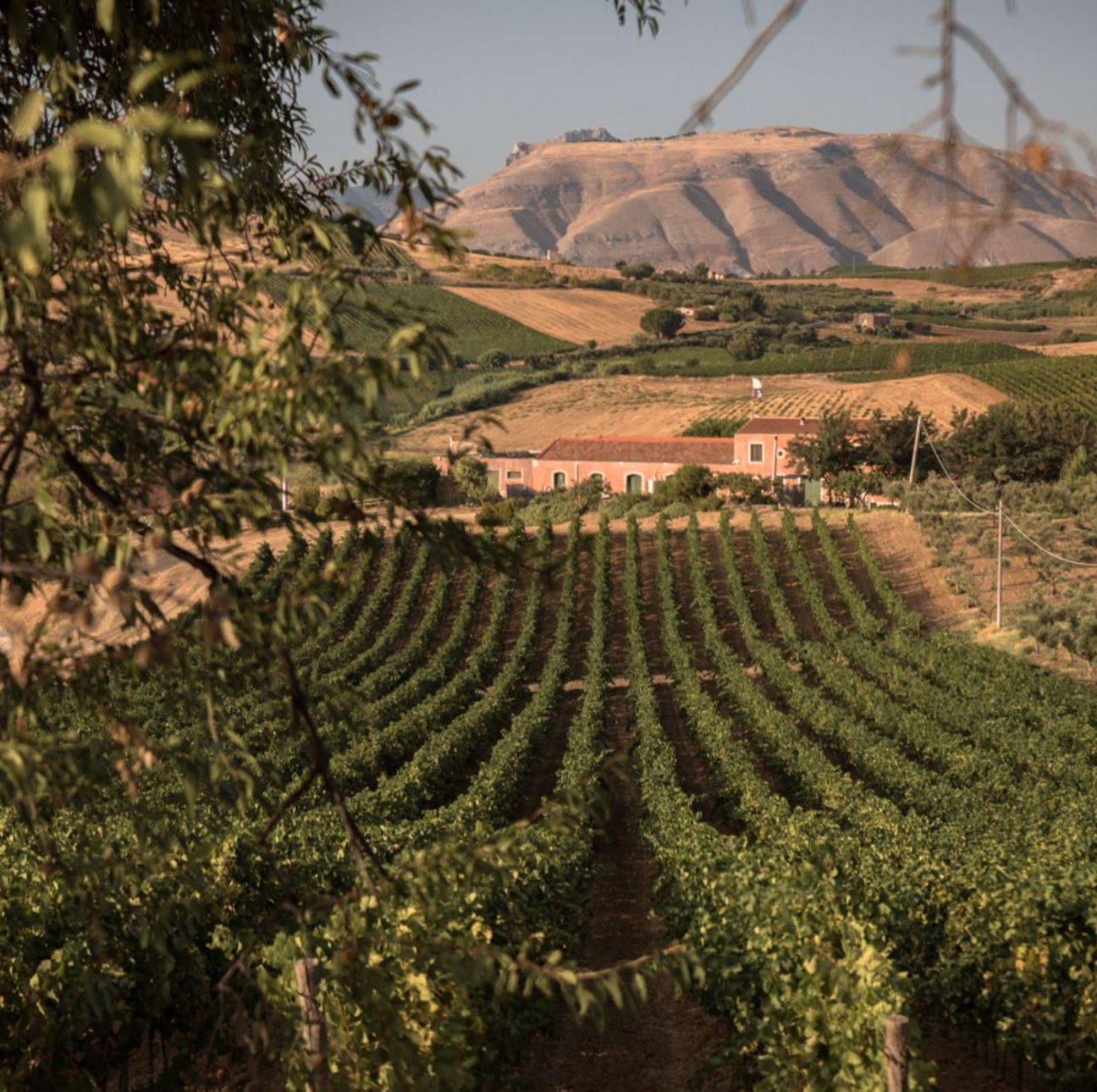 Open the Treasure Box of Diverse Sicilian Wines with Tasca d’Almerita