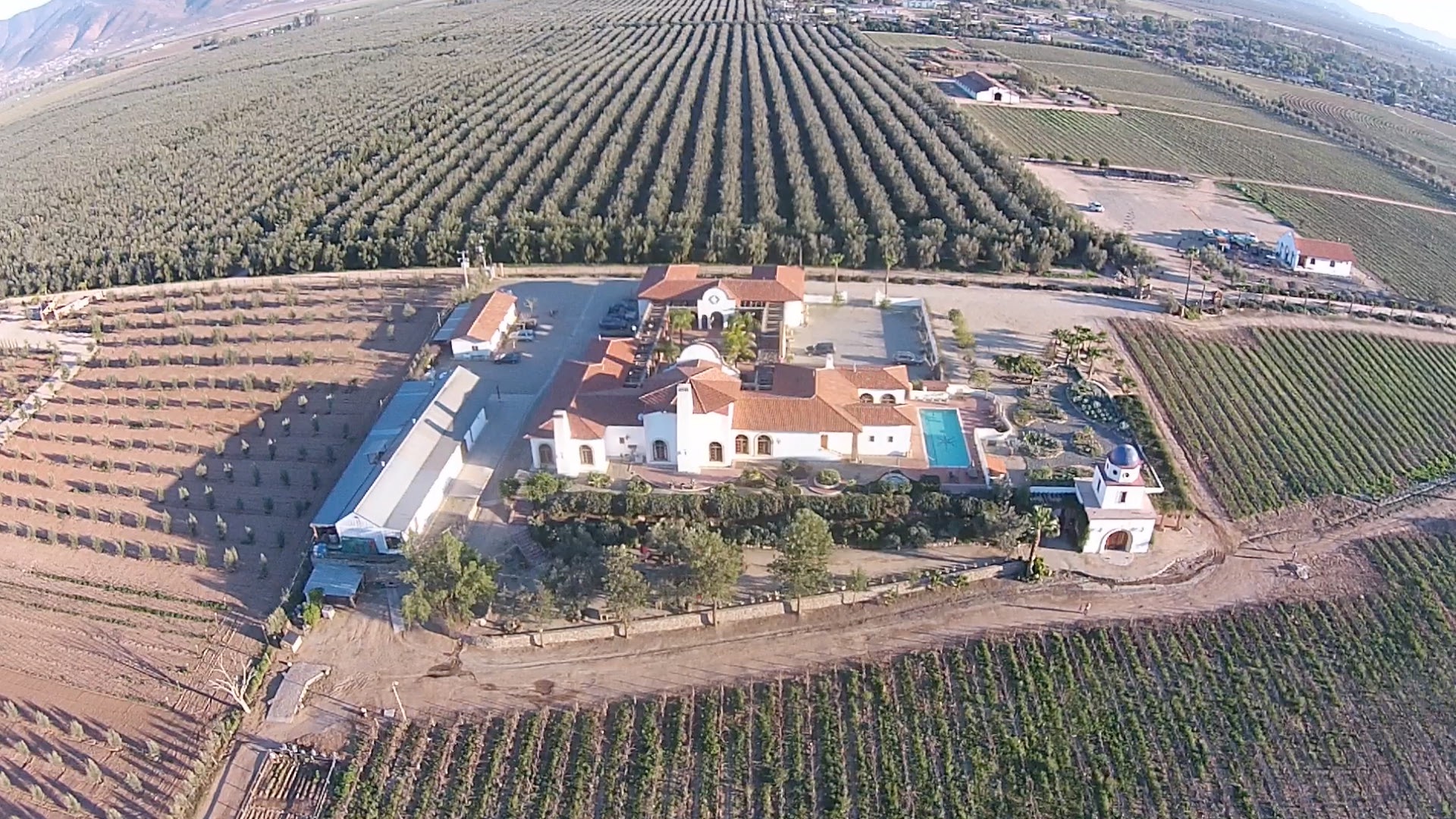 Top Wine Stories of 2015