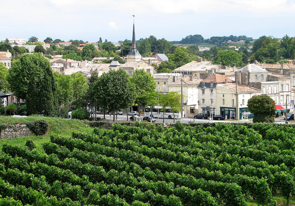 Terroir: Slope, Soil, Sun, Ego?