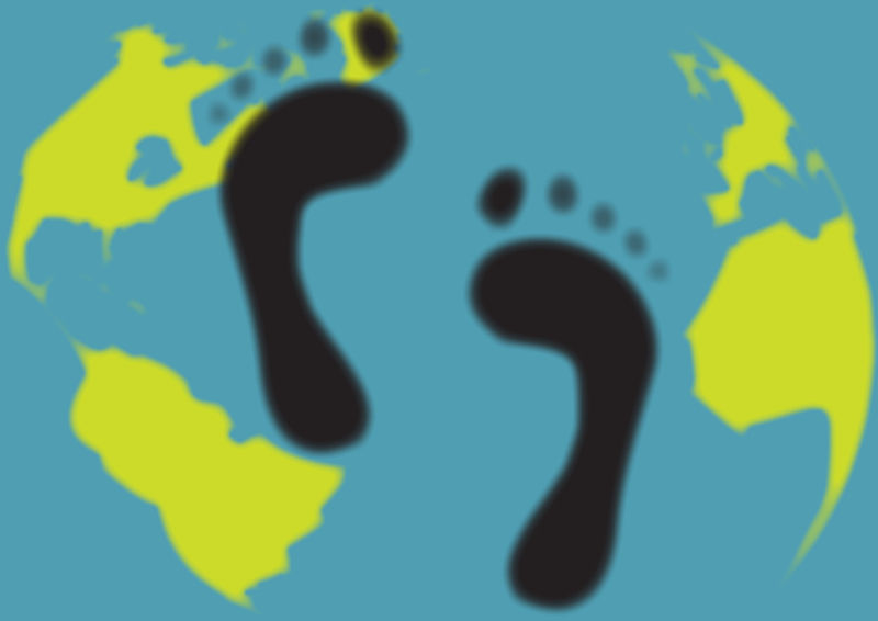 Wine's Carbon Footprint Case Study: Shipping By Rail, Road, and Sea