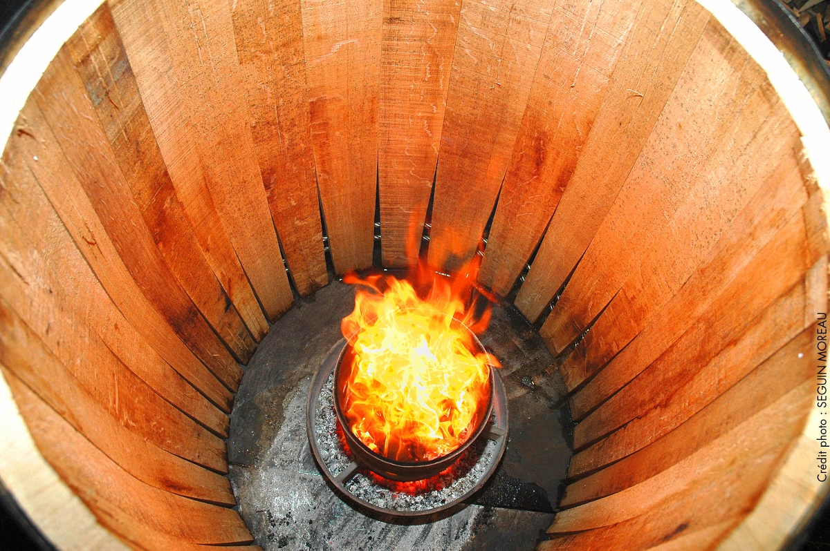 Oak Barrels and the Intimacy of Wine: The Story of Seguin Moreau