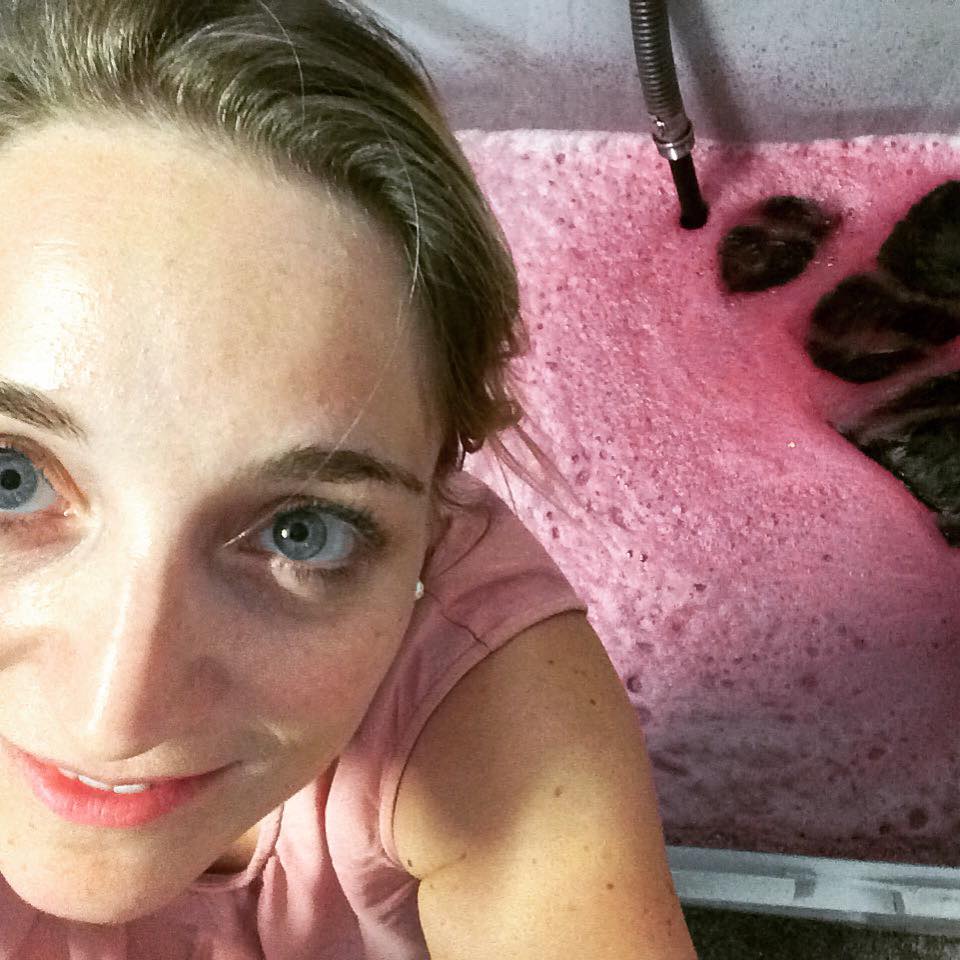 Following in the Footsteps of Romans: Netzl making organic wine in Carnuntum