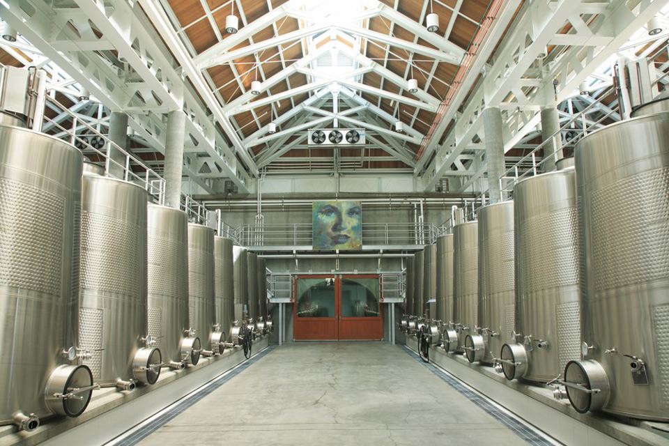 Remi Cohen of Cliff Lede Vineyards on the Rhythms of Harvest and in the Cellar