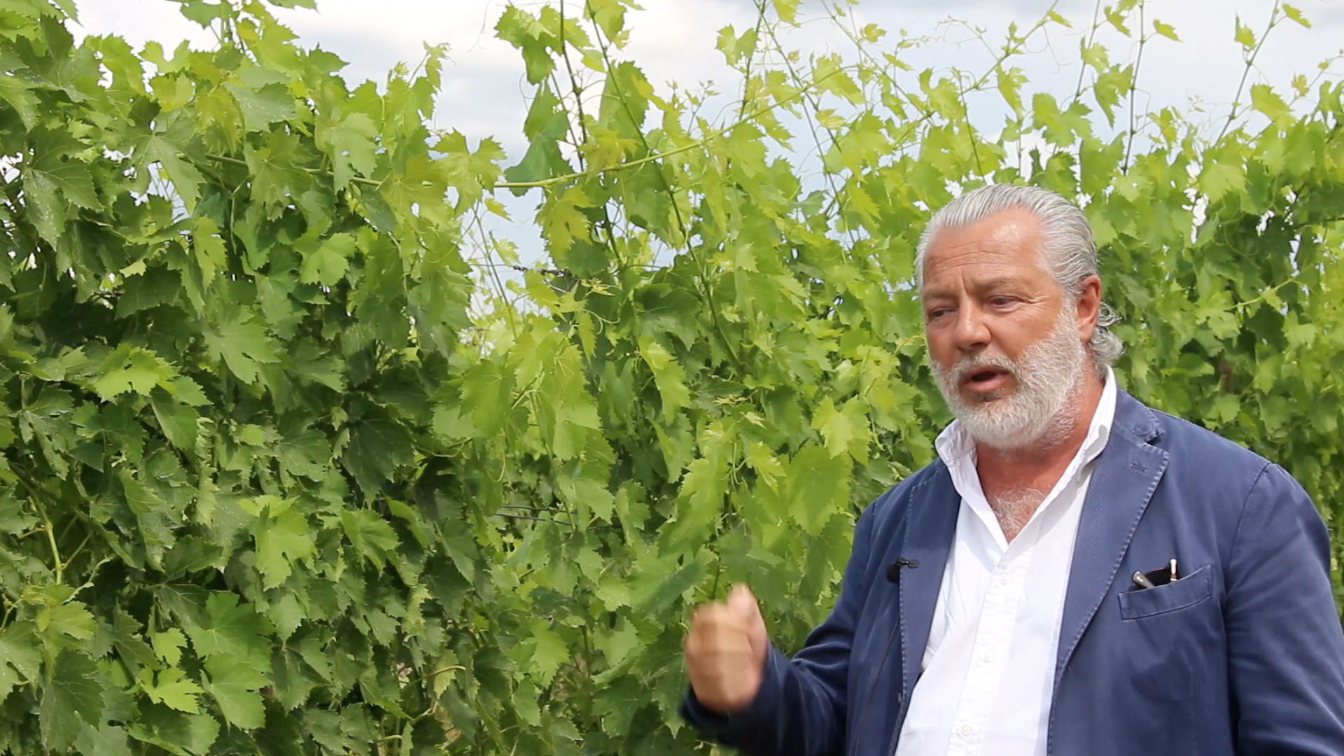 Francesco Marone Cinzano, Col D'Orcia