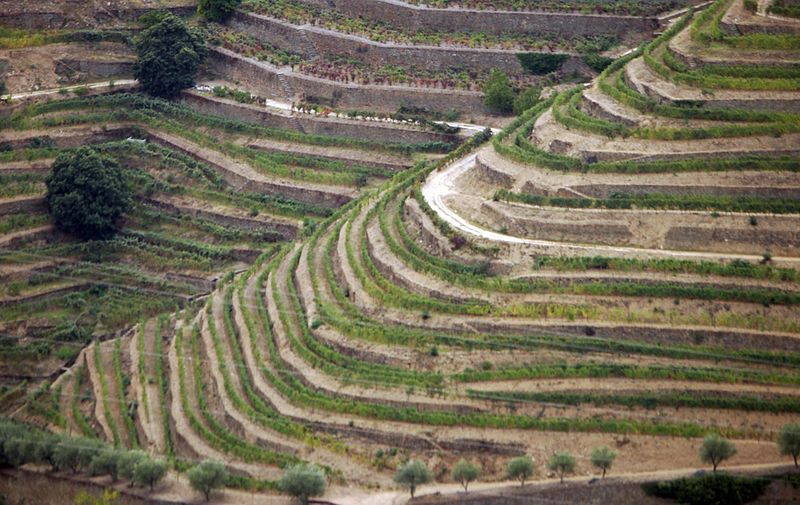 Portugal Now: Master Sommelier Keith Goldston Makes The Case
