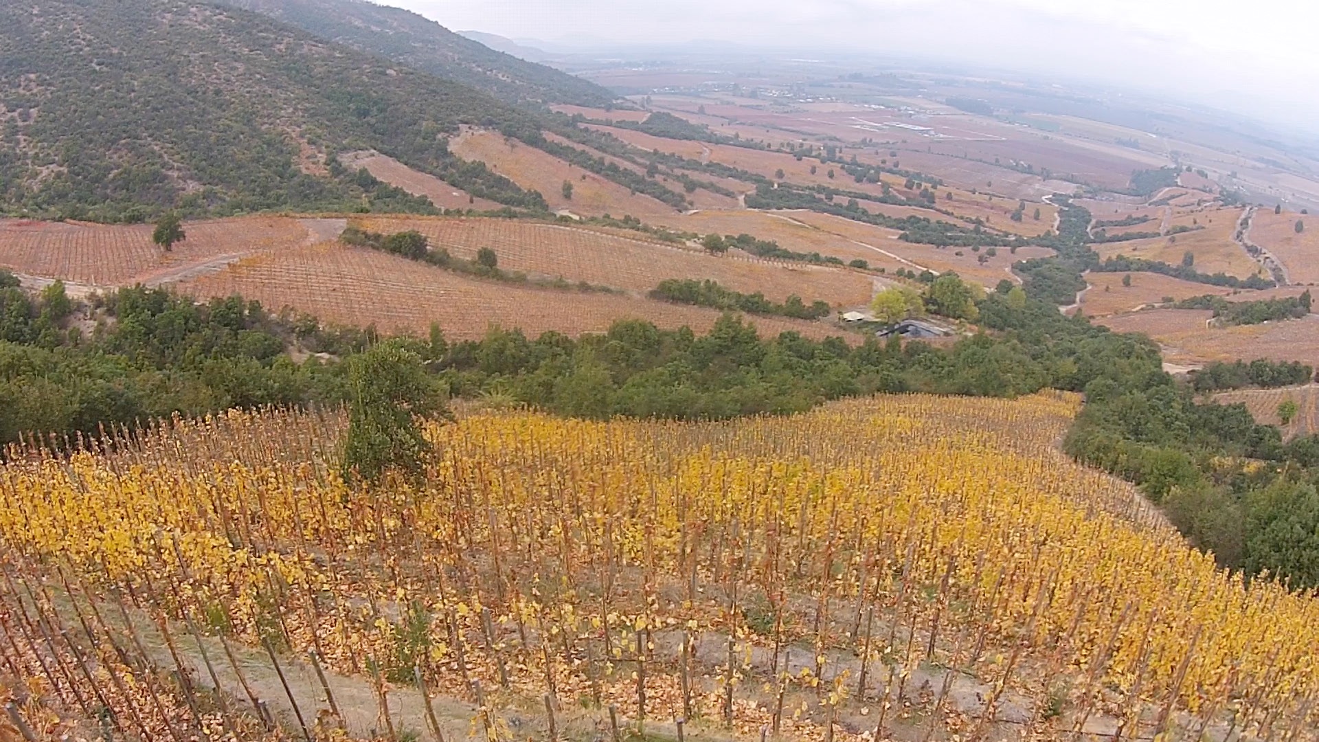 The Vineyards of Chile from the Sky