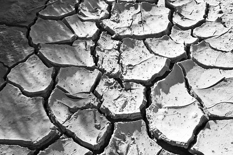 Water Use in the Vineyards: Understanding Dry Farming