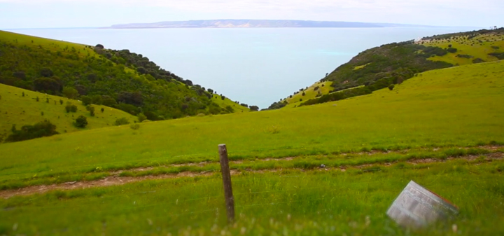 World of Wine: The Great Island Life of South Australia's Dudley Farms
