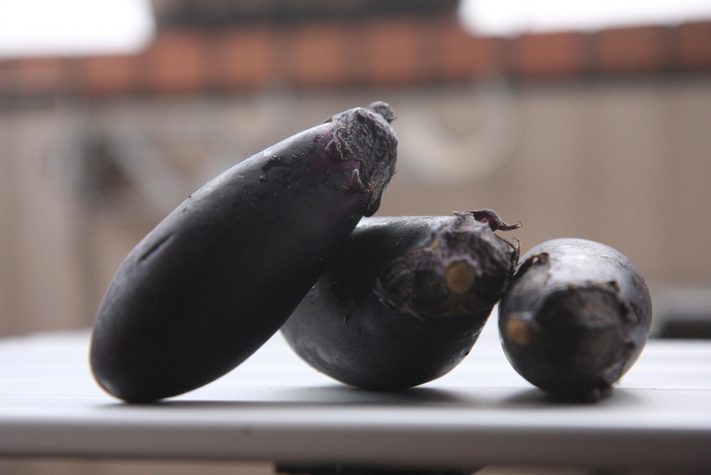 Stuffed Eggplant Paired with Loire Valley Cabernet Franc