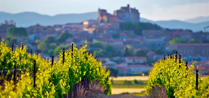 Pioneering Everyday Luxury: How Domaine Paul Mas Breathed Life Into the Languedoc
