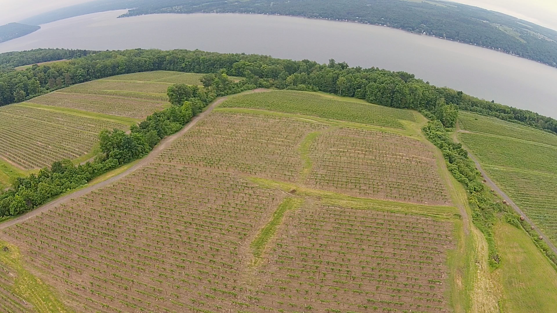 Flying over Dr. Konstantin Frank in Finger Lakes