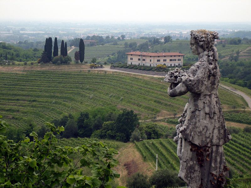 #sommchat Roundup: Hawk Wakawaka Wine Reviews on Fishing and Friuli