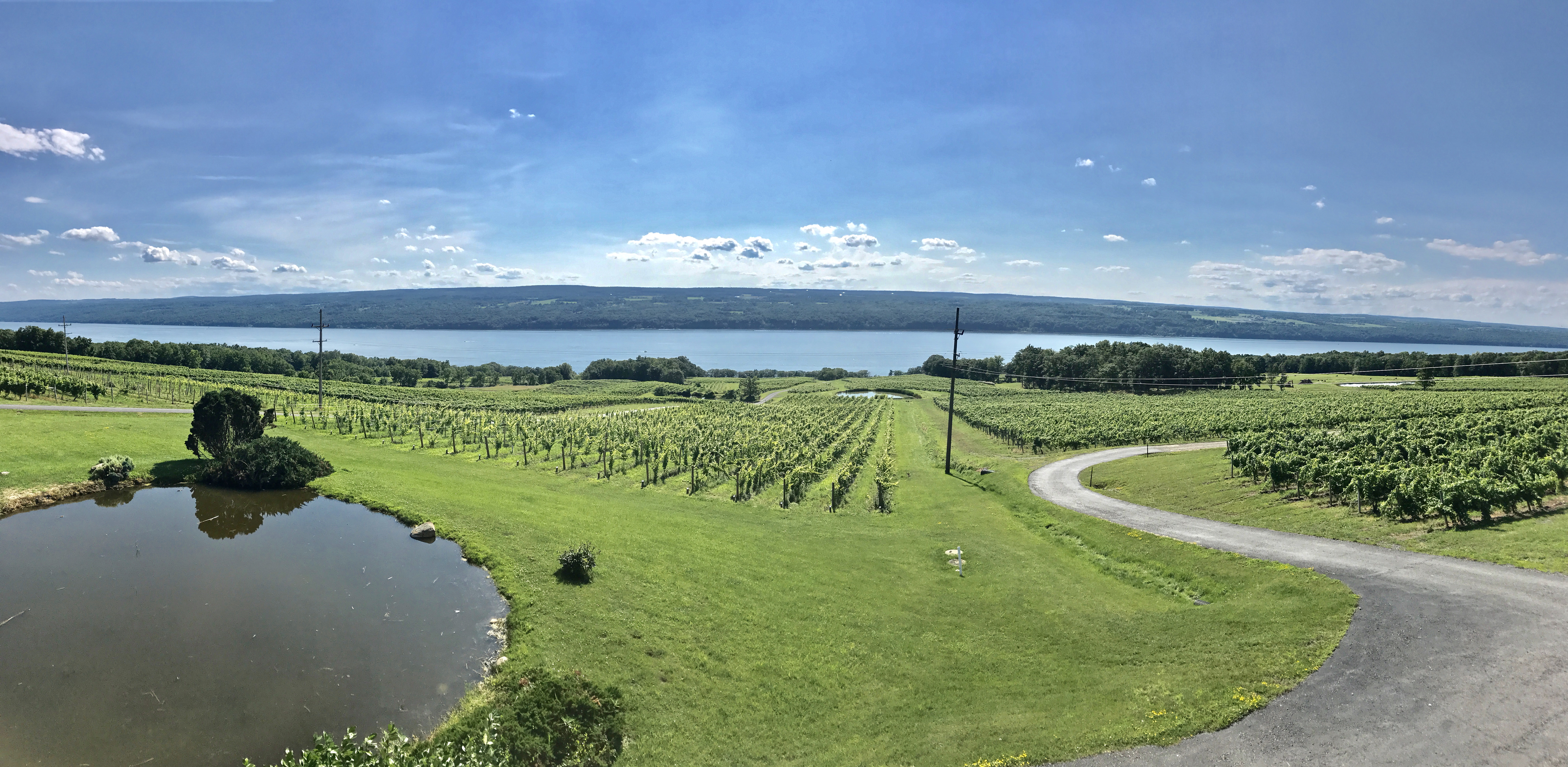 Talking Food And Wine (And Hair!) With Thomas Pastuszak, Star Sommelier And Advocate For Finger Lakes Wine