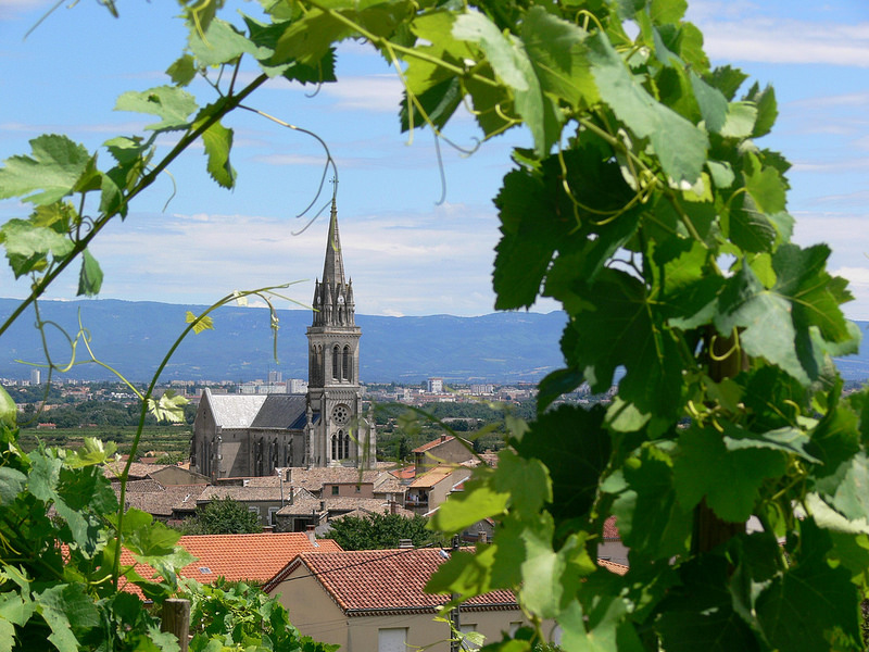 From Australia to France: Talking With Winemaker Mark Haisma