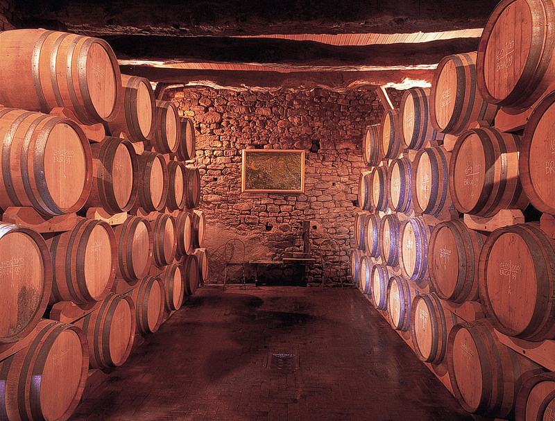 Wine of the Week: Vietti Tre Vigne Barbera d'Asti 2011