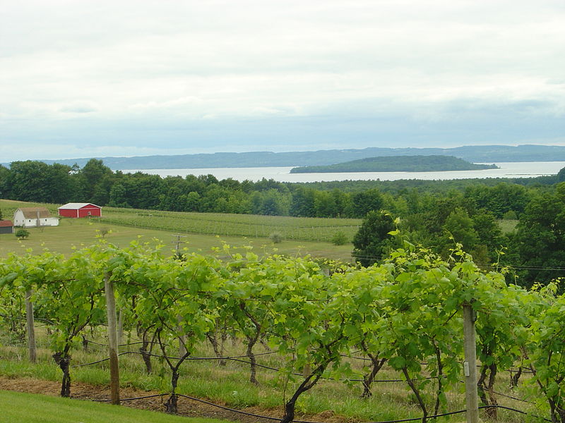 The Wine Warriors Come Out to Play in Traverse City, Michigan