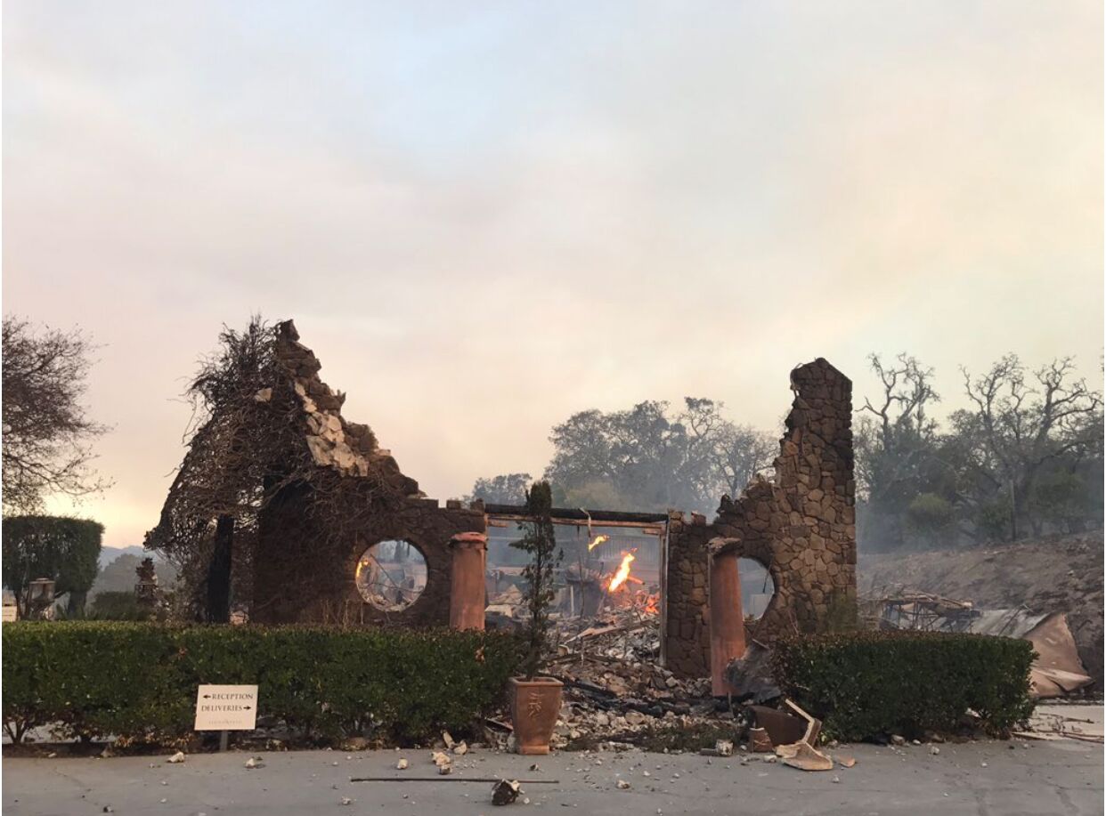 Ray Signorello: ‘The vineyard acted like a great firebreak. It’s kind of miraculous.”