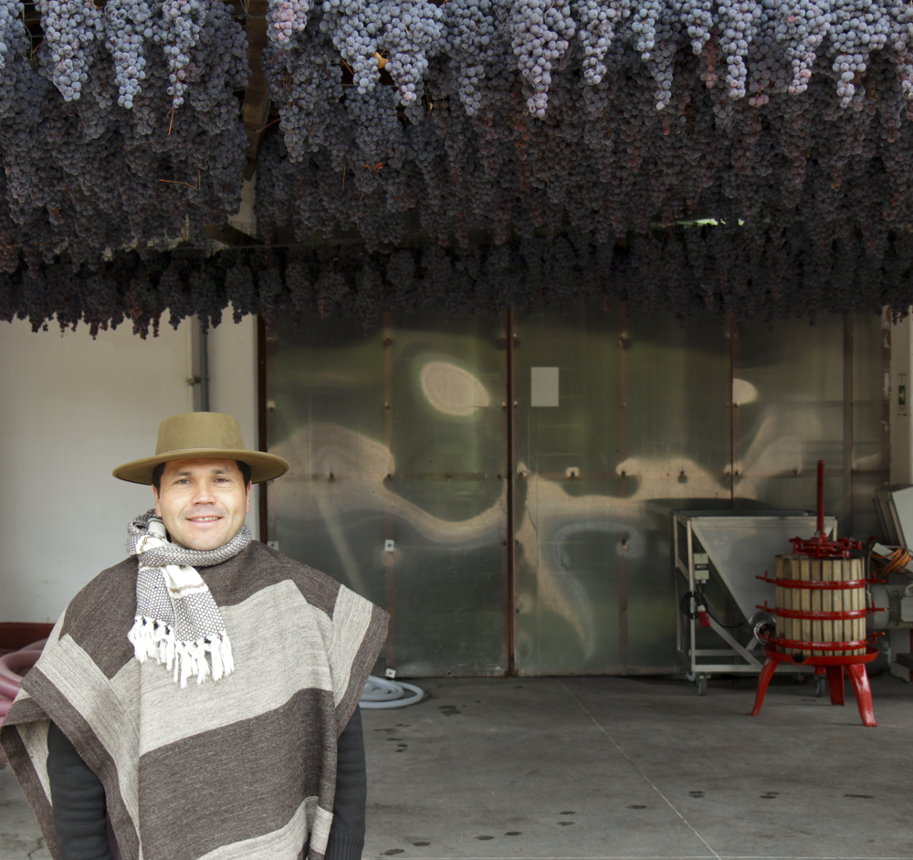 Cesar Opazo, La Reserva de Caliboro, Maule, Chile