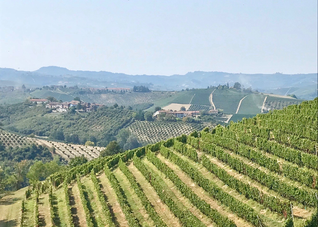 Interview with Matteo Ascheri, President of The Barolo, Barbaresco, Alba, Langhe, and Dogliani Wine Consortium