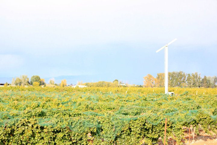 Video: Idaho Is More Than Just Wine
