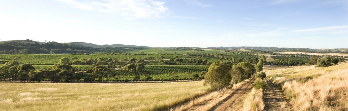 Fascinated By Wine Tourism: Colin West of WineRam Productions