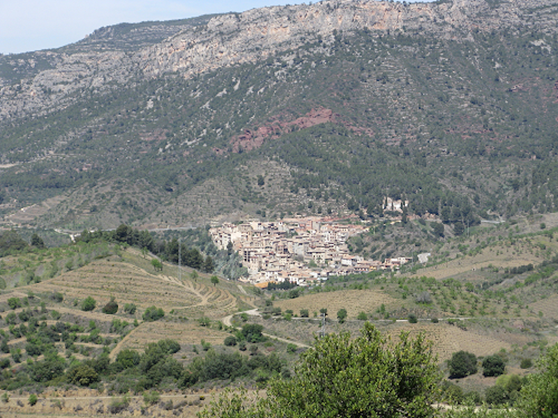 The Women Winemakers of the "Reawakened" Priorat