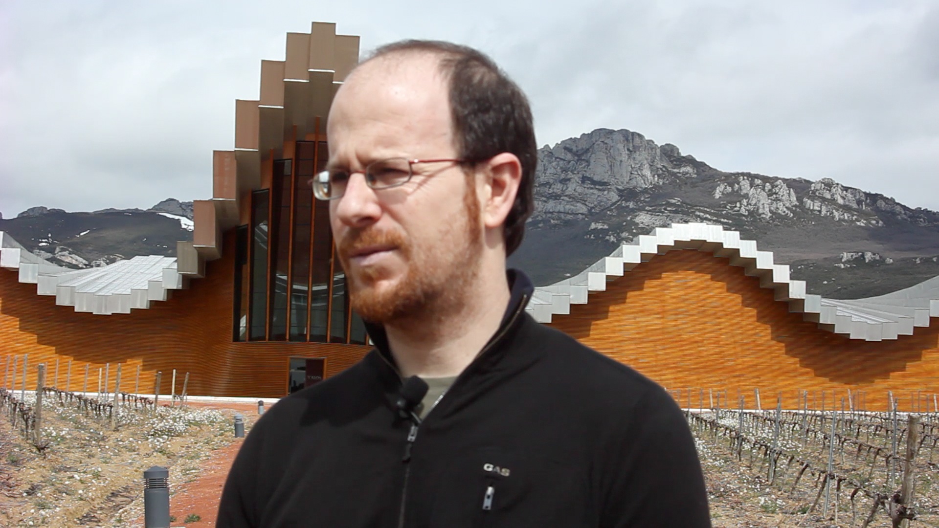 Luis Zudaire, Bodegas Ysios