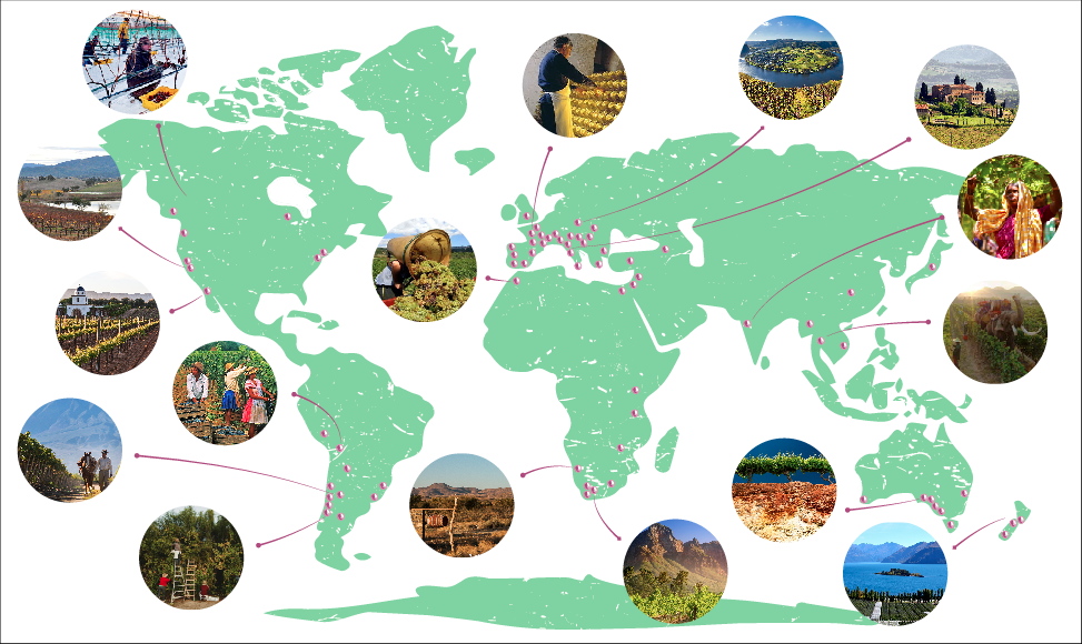 Around the World in 80 Harvests: where would you go?