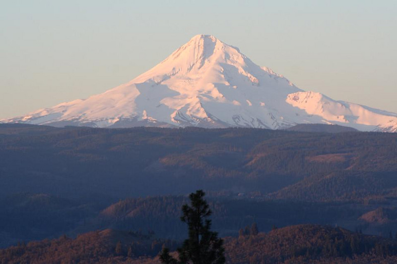 Gamay in the Gorge: Washington State’s Memaloose Winery