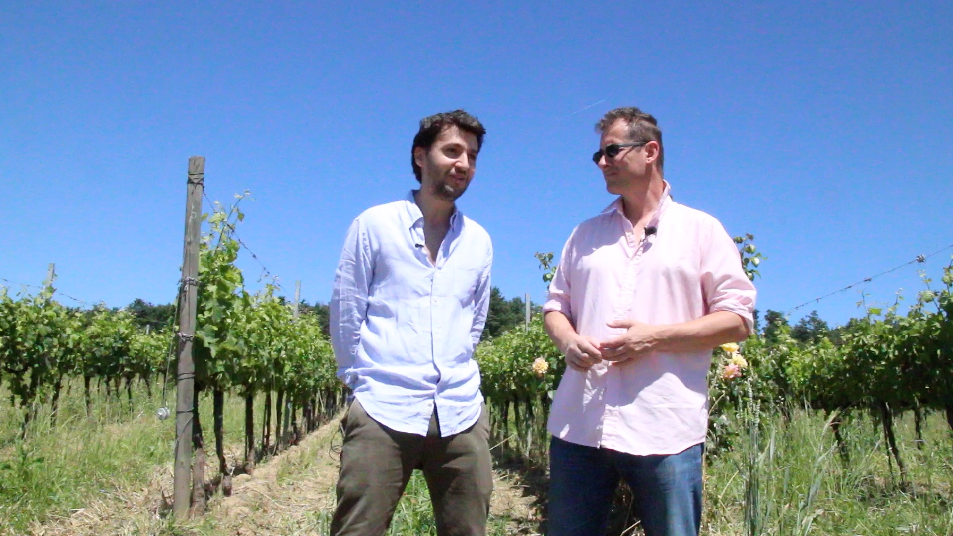 Fattoria Sardi Is Putting Italian Rosé On The Map