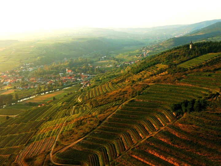 Respekt: Wines That Follow Nature