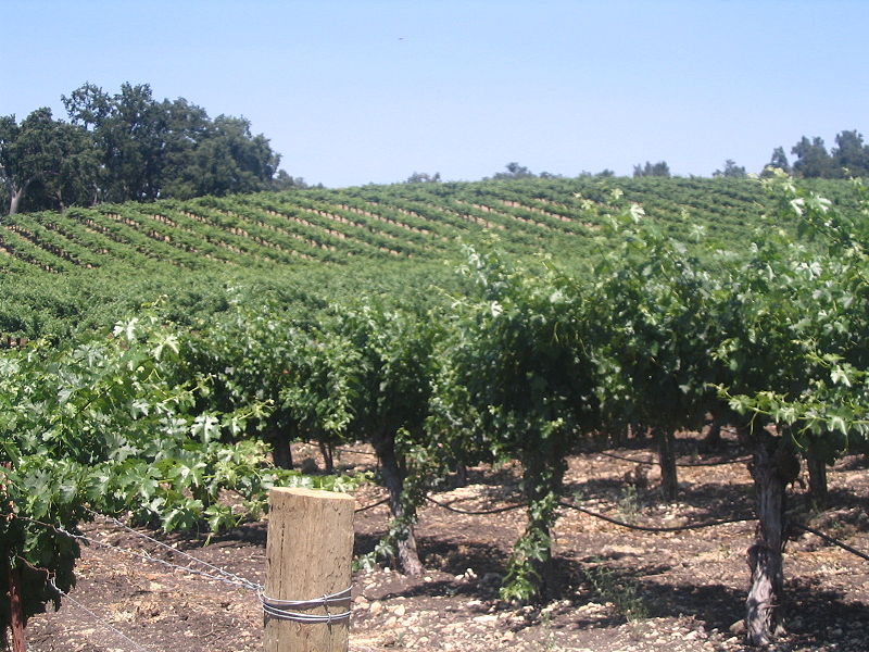 Paso Robles: Breaking Up is Hard to Do