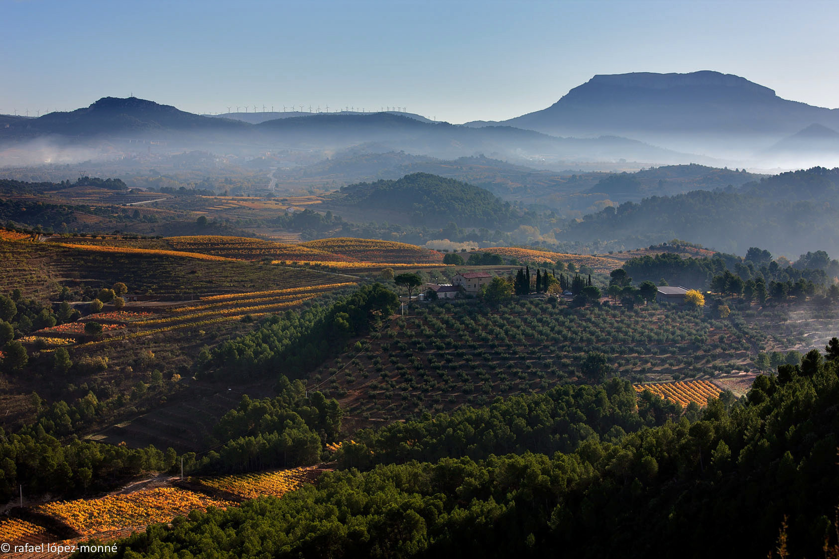 Garbinada Wind and Llicorella Soil Make Mas d’en Gil Stand out from The Crowd in Priorat