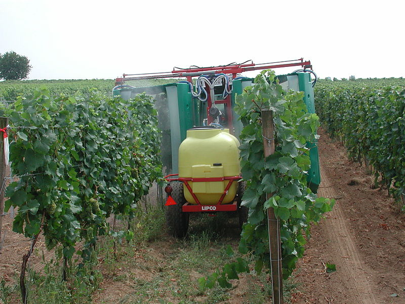 Wine, Pesticides, and Low Sperm Count