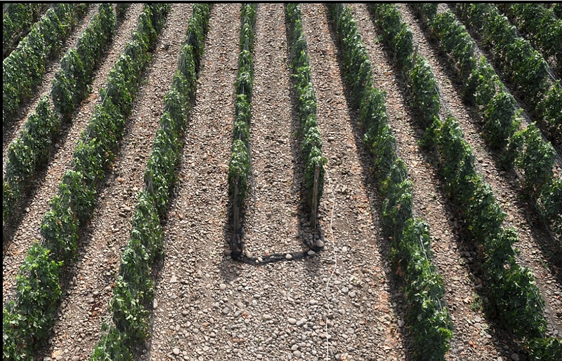 Is The "Single-Most Terroir-Driven AVA in the US" On Its Way?