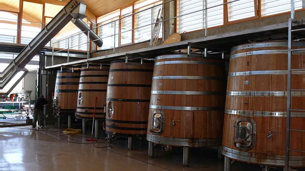 Bernabeleva: Garnacha, unleashed